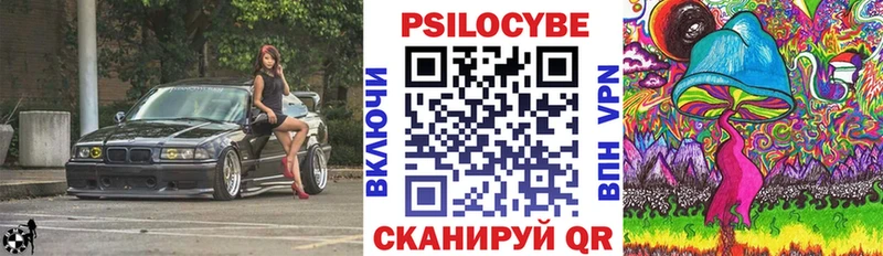 как найти закладки hydra tor Псилоцибиновые грибы мухоморы Владивосток
